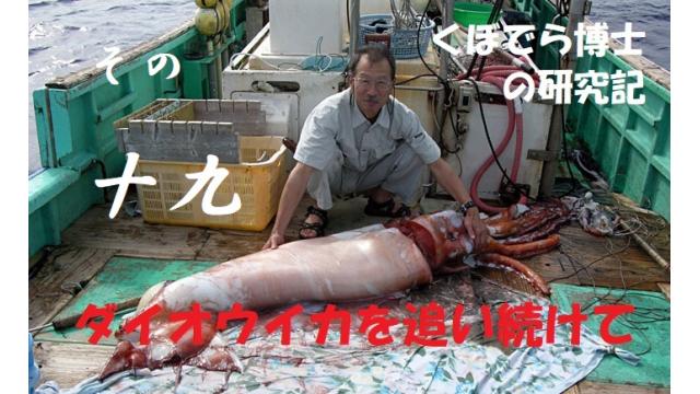 窪寺博士のダイオウイカ研究記－その１９