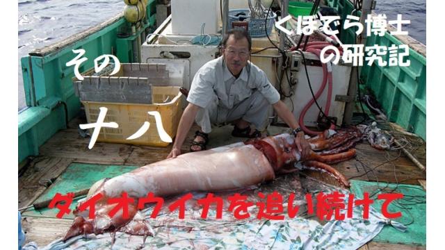 窪寺博士のダイオウイカ研究記－その１８