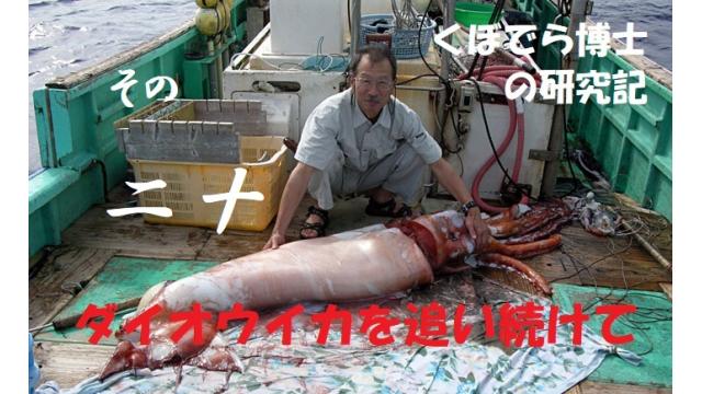 窪寺博士のダイオウイカ研究記－その２０