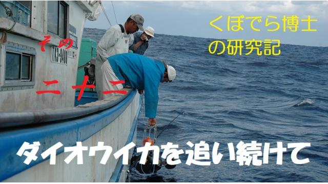 窪寺博士のダイオウイカ研究記－その２2