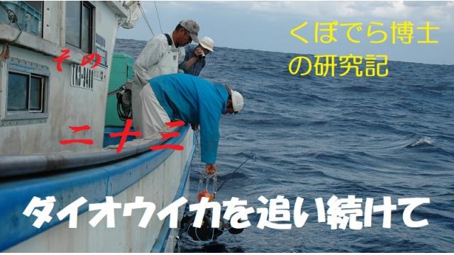 窪寺博士のダイオウイカ研究記－その２3