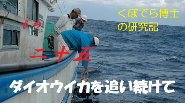 窪寺博士のダイオウイカ研究記－その２5
