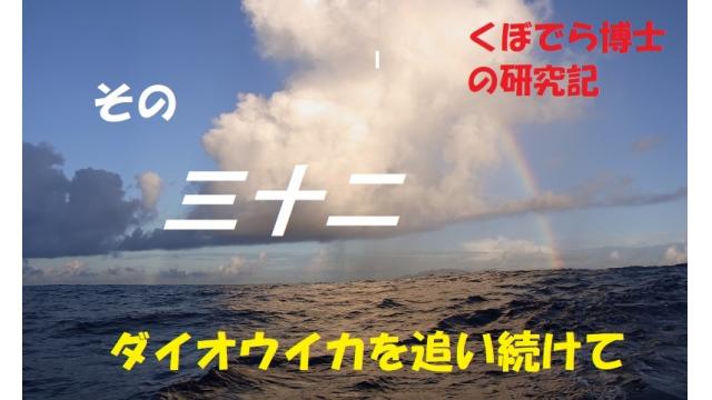 窪寺博士のダイオウイカ研究記－その32