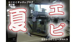 キッチンのエビNEWS  vol2〜真夏のエビとの付き合い方〜