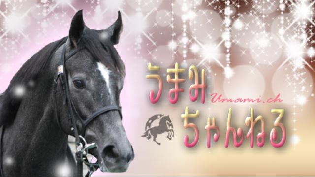 うまみのパカログ Vol.104