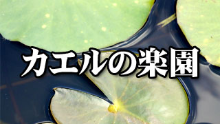 コメントno 2 ブロマガ配信小説 カエルの楽園 第八回 百田尚樹のテレビでは伝えられない話 百田尚樹チャンネル 百田尚樹 ニコニコチャンネル 社会 言論