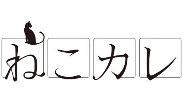 『ねこカレ』写真展とムック本先行販売のお知らせ。