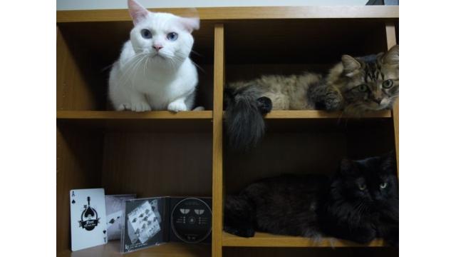 100億ゴールドのダイス対決【2話：無理難題】＞＜。