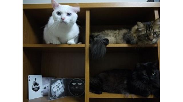 ドラクエプレイヤー対談企画　第1回：ロア