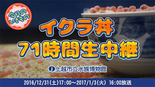 【記録】イクラ丼７１時間生放送