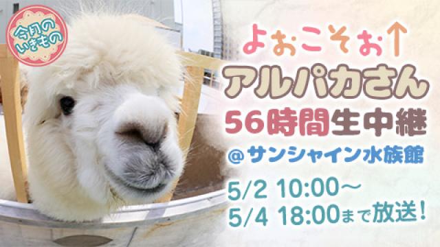 【よぉこそぉ↑】アルパカさん56時間生中継＠サンシャイン水族館