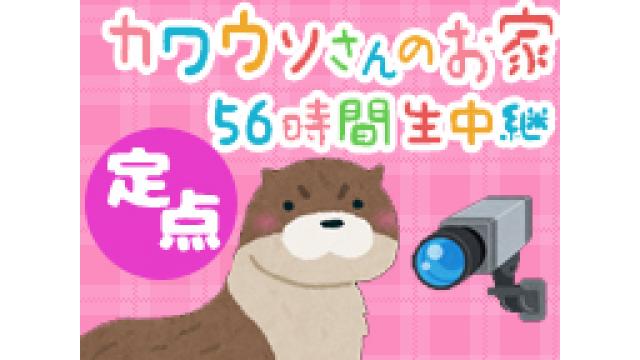 【ご要望にお応えし…】完全定点いきもの観察！