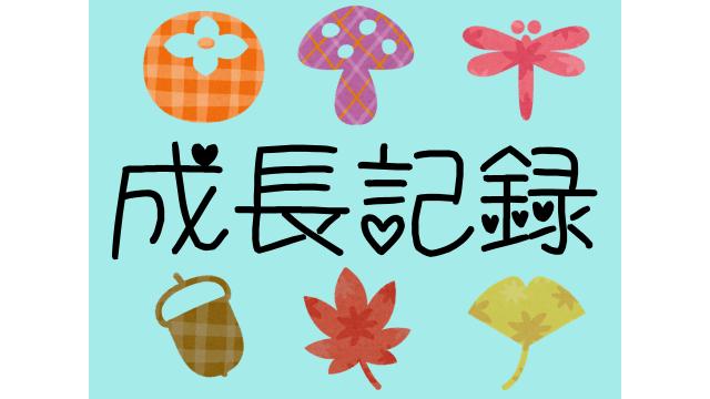 【シイタケさん１００時間観察】きのこさん成長日記
