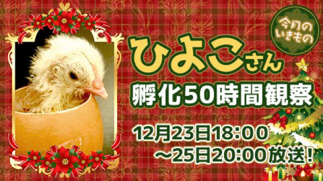 『ひよこの卵』が孵化する様子を50時間生中継