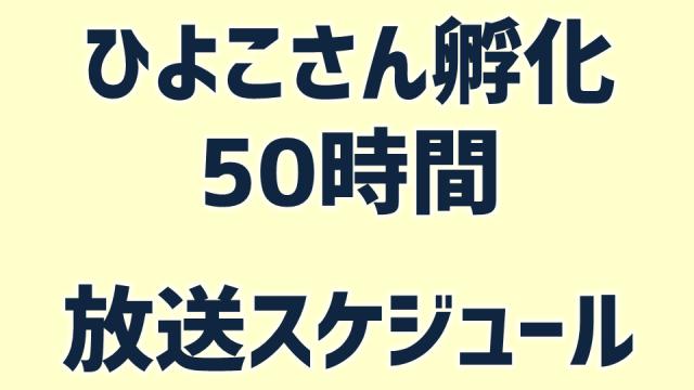 【ひよこ孵化】スケジュールのお知らせ