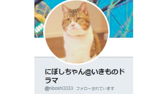 【第１話がよく分かる】いきものドラマSNS投稿まとめ