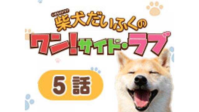 【3/30】柴犬だいふくのワン！サイド･ラブ最終話放送！