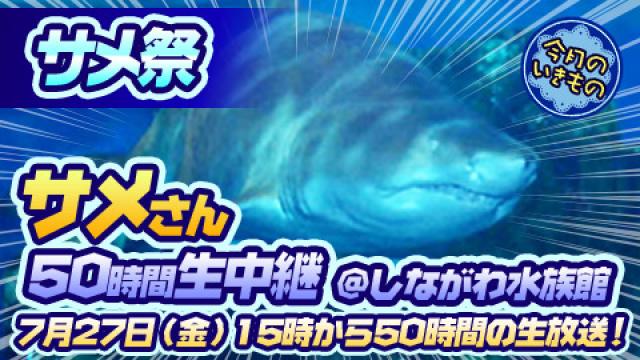 【7月はサメ祭】サメさん50時間生中継＠しながわ水族館