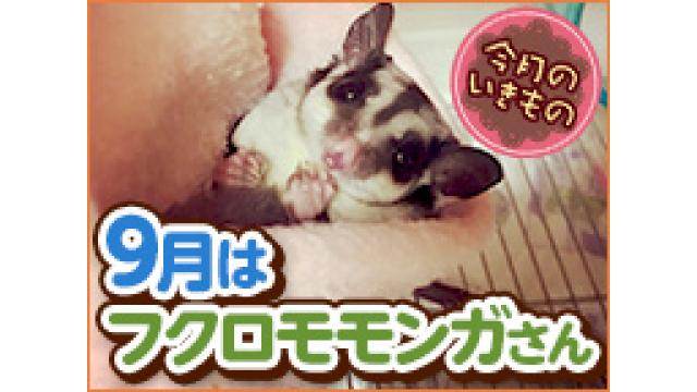 18年9月の記事 いきもの放送まとめチャンネル 旧 今月のいきもの いきもの放送まとめチャンネル 旧 今月のいきもの いきもの担当者 ニコニコチャンネル バラエティ