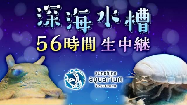 深海水槽56時間生中継＠サンシャイン水族館