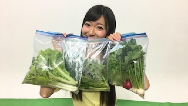 農園進捗情報