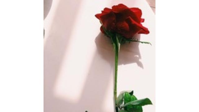 「人の目を気にせず、図太く生きていこう。」緊張で吐くほどのあがり性だった私が変われた話[体験談]