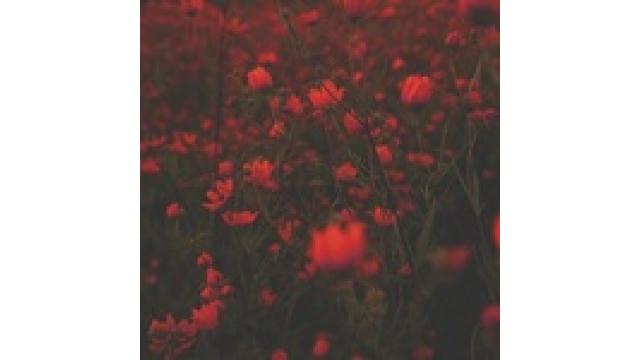 たったの1か月で