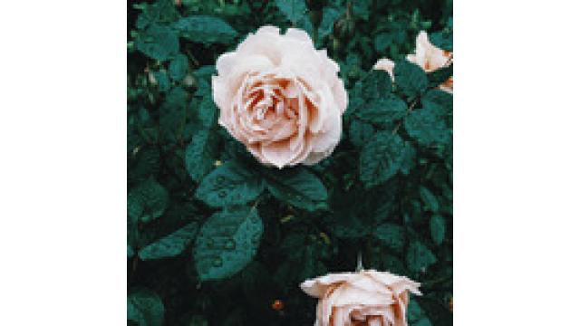 小学生で70キロの肥満児だった私......大学生活で10キロの減量に成功したそのダイエット方法とは[体験談]