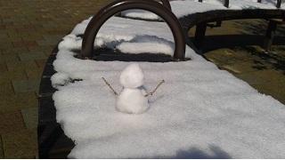 新戦略！アーティストコラボ♪