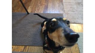 ぴの耳より情報(5/13) 6月5日にトークイベント決定!