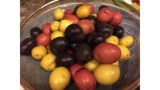 ぴの耳より情報 (7/28) 「柳よ泣いておくれ」と「カラフルポテトサラダ」