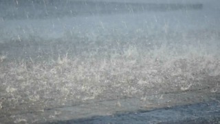 ブルックリン物語 #16  “Willow Weep For Me”　柳よ泣いておくれ