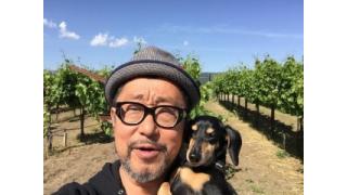 ぴ、です。お誕生日です。