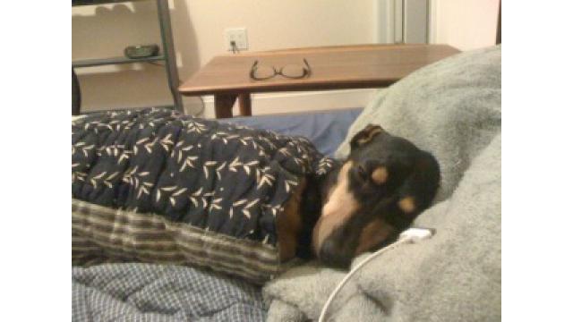 ぴーす、充電中