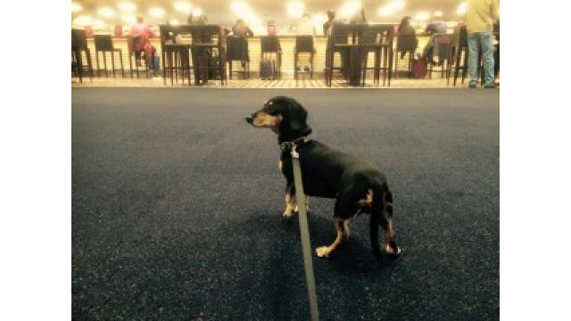 ぴの耳より情報 (9/18) 13:40〜@ニッポン放送