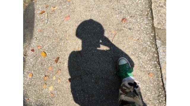 ぴの耳より情報 (9/22)　「ブルックリン物語 #24」と大江屋レシピ「きゅうり天国」の2本立て