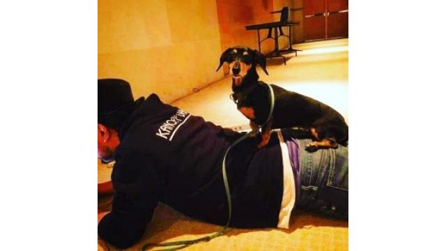 頑張っていきまっしょい