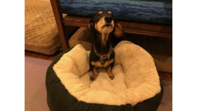 ブルックリン物語 #36  L.O.V.E「ラブ」