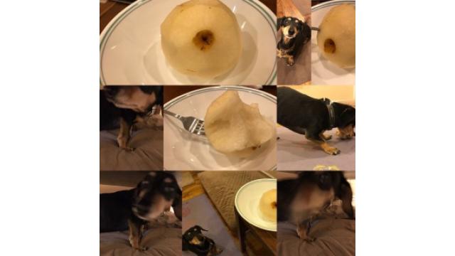 可能性はゼロじゃない