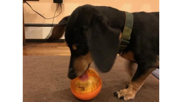 ぴの耳より情報 (2/15) スカパー! 特番は2月18日!