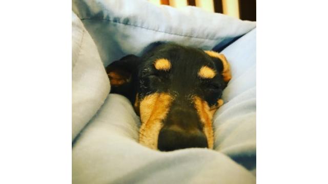 2人の時間。やっと我が家へ。