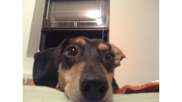 ぴの耳より情報 (5/18) 今週は「ブルックリンでジャズを耕す(3)」はお金の話です。