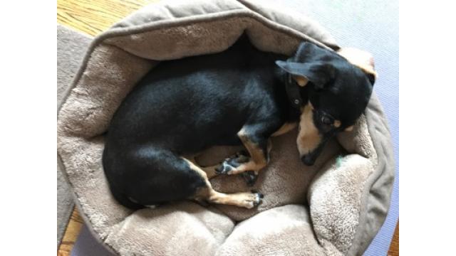 ぴの耳より情報(5/31) 今日から中西部ツアー