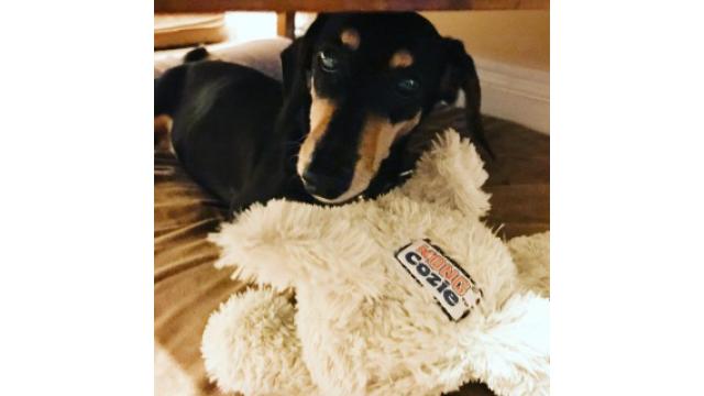 ぴの耳より情報 (6/22) 本日の更新は「ブルックリン物語　#43」です。