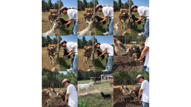 未知との遭遇それとも？