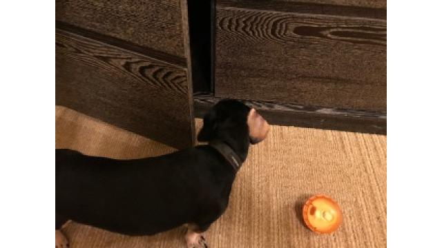 ブルックリン物語　#44  水星の逆行する月に乙女座はどう動けばいいか?  前編