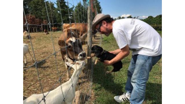 アミーゴ千里のお悩み相談015「旅慣れるための裏ワザってありますか?」