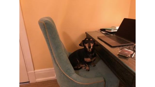 ぴの耳より情報情報 (9/21) 「ブルックリン物語 #45 水星の逆行〜後編」出来!