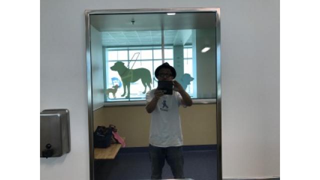 ブルックリン物語　#4５  水星の逆行する月に乙女座はどう動けばいいか?  後編