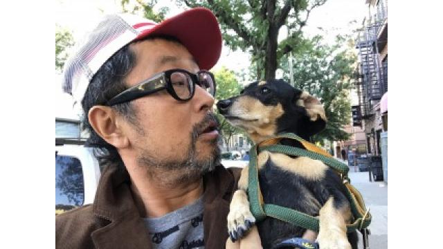 Senri and Peace in Brooklyn!